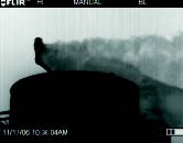 FLIR GasFindIR CO