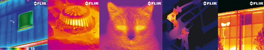 Flir infrared thailand