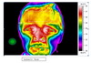 Flir Infrared Camera